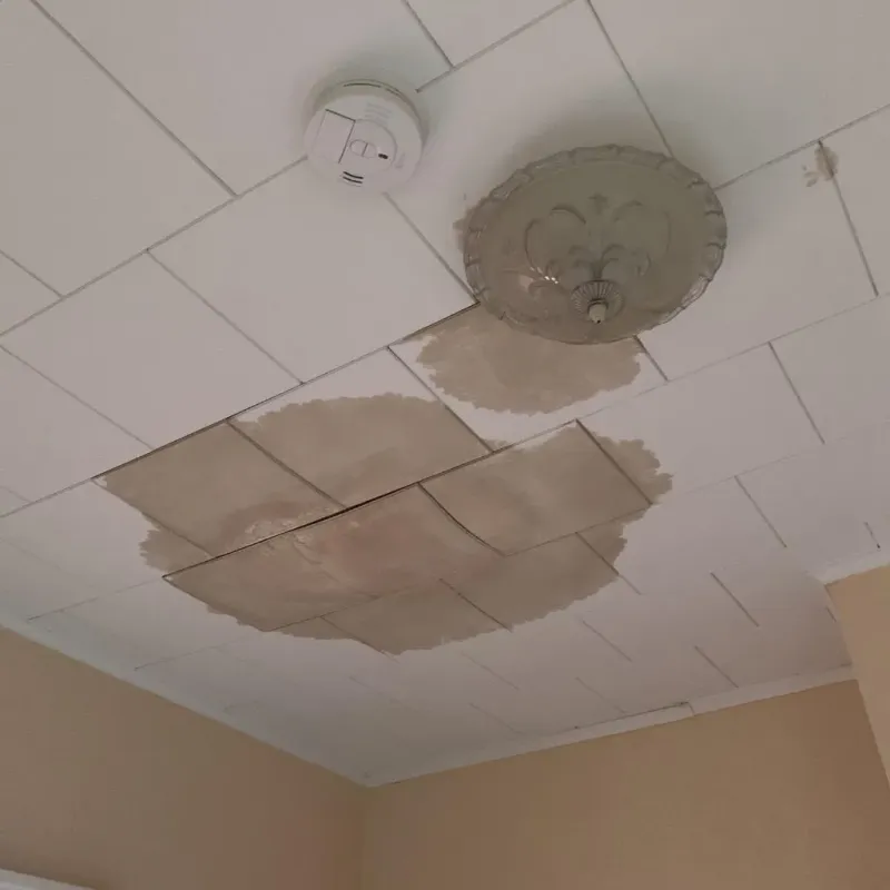 Ceiling Water Damage Repair in Tomball, TX